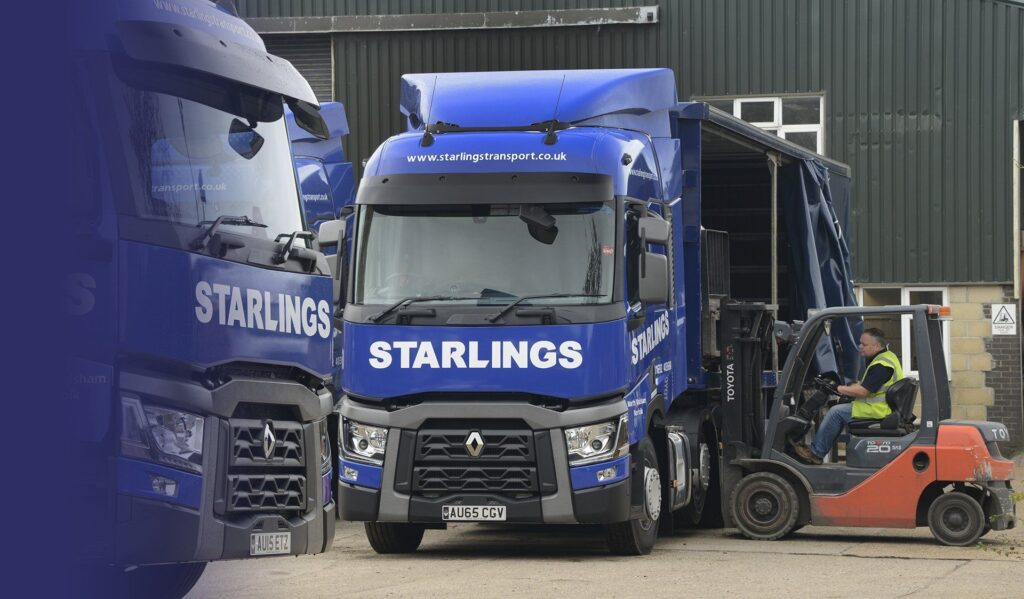 Starlings Transport Cover Image